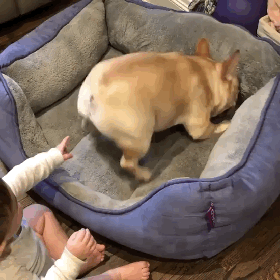 touch cant GIF