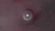 Yak GIF by ELYX
