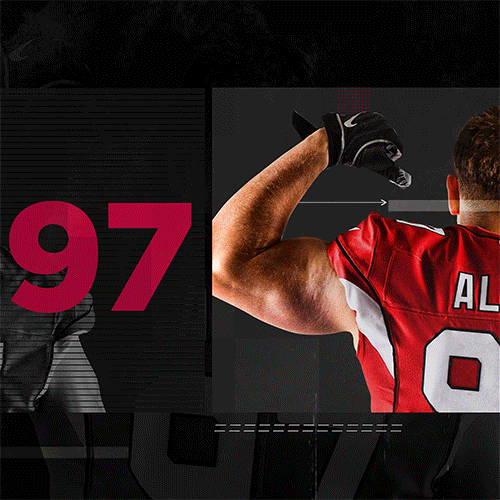 Football Nfl GIF by Arizona Cardinals