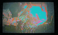 Wanderkid GIF by JW Francis