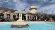 GIF by Texas A&M University