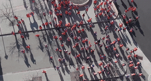 Ny Mets GIF by The 7 Line