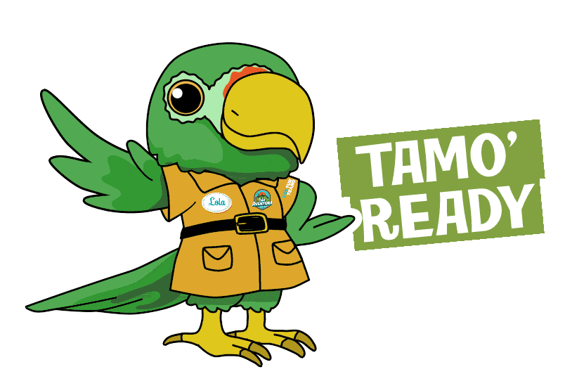 Puerto Rico Lola Sticker by VoyTuristeando