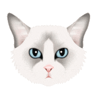Ragdoll Cat Cats Sticker by zoopeez
