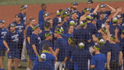 Celebrate Blue Jays GIF by Toronto Blue Jays