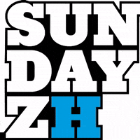 Restlezz party sunday zrich dayparty GIF