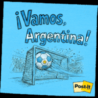 Argentina Albiceleste GIF by 3M