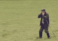 sheeple herding GIF