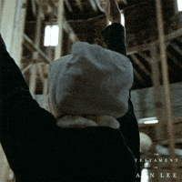 Amanda Seyfried Joy GIF by Searchlight Pictures