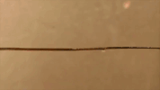 hate satisfying GIF