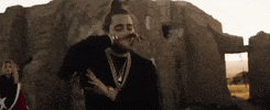 go flex GIF by Post Malone