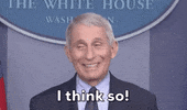 I Think So GIF by GIPHY News