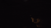 Comeback Kid GIF by Sharon Van Etten