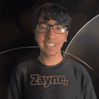 Zane Zain GIF
