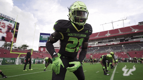 College Football GIF by USF Athletics