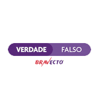 Gatos Bravecto Sticker by MSD Família Pet