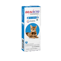 msdfamiliapet bravecto Sticker