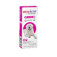 msdfamiliapet bravecto Sticker