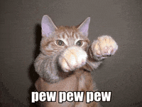 pew GIF