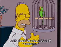 mad homer simpson GIF