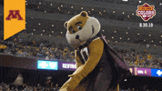 College Sports Minnesota GIF by College Colors Day