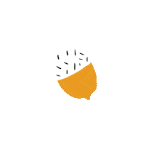 Oak Latvia Sticker by Fresh Creative Agency
