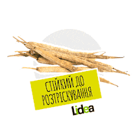 lidea_seeds canola rapeseed lidea lidea seeds Sticker
