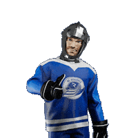 Hockey Hokej Sticker by Tipsport extraliga