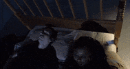 GIF by Polyvinyl Records