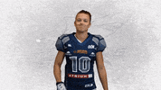 American Football GIF by Steelsharks