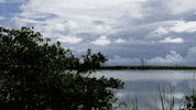 Space Rocket GIF by NASA