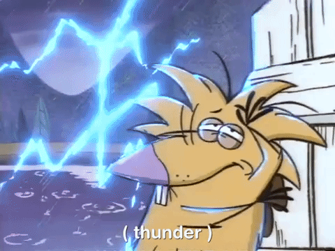 angry beavers nicksplat GIF