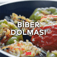 Nowzaradan Drnow GIF by TLC Turkiye