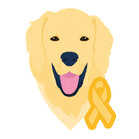 identidadepucpr setembro amarelo seap seappucpr setembroamarelopucpr Sticker