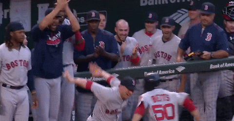 Happy Red Sox GIF