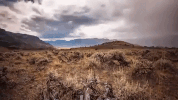 wyoming GIF