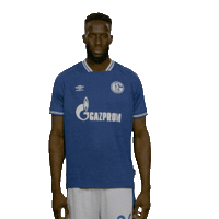 Posing Line Up Sticker by Bundesliga