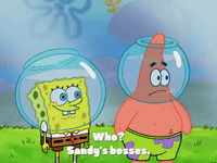 season 4 episode 10 GIF by SpongeBob SquarePants