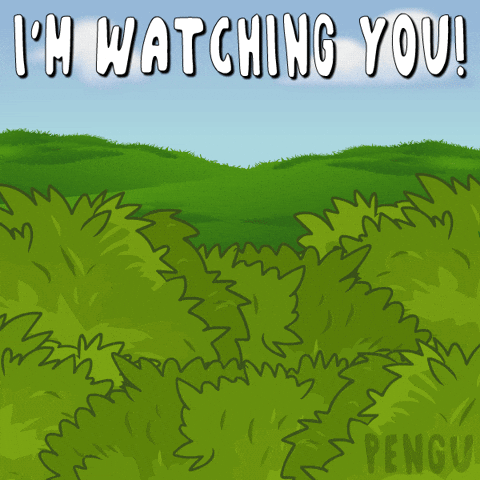 Penguin Waiting GIF by Pudgy Penguins