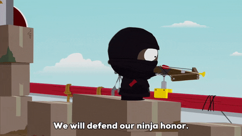 token black ninja GIF by South Park 