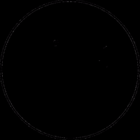 lion GIF by Strakton Records