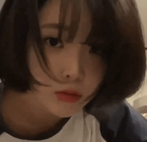 parkds giphyupload GIF