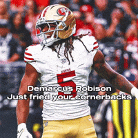 49Ers GIF