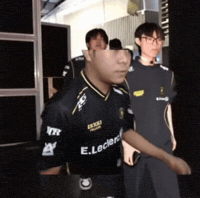 Teamvitality GIF
