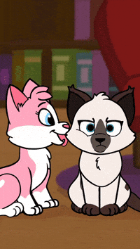 Cats Love GIF