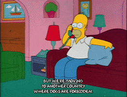 Season 2 GIF by The Simpsons