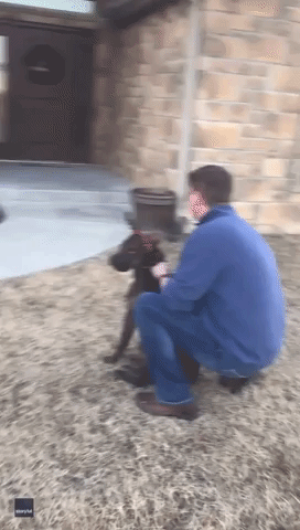 Christmas Comes Early as Parents Surprise Daughter With Shelter Dog She Was Caring For