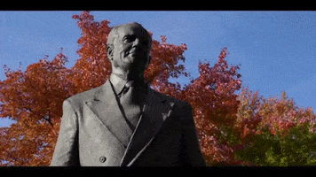 Ysu Y And Proud GIF by Youngstown State University