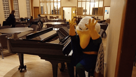 Piano Gulls GIF by Endicott College