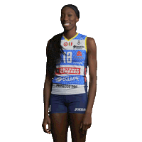 Boom Volleyball Sticker by ImocoVolley